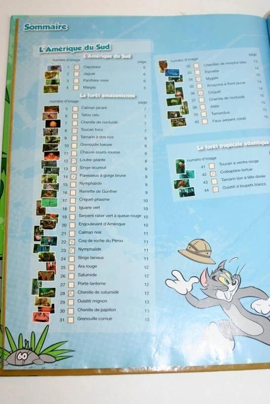 Album Jungle Mania, nossas aventuras na floresta tropical – photo 8